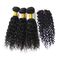 Natürliche malaysische Jungfrau-Haar-Erweiterungen/malaysisches gelocktes Haar mit Silk niedriger Schließung fournisseur