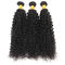 Gelocktes Haar rollt der unverarbeiteten Jungfrau-100 natürliche Haar-Linie kein Verschütten zusammen fournisseur