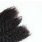 Echte rohe gelocktes Haar-Webart der Jungfrau-gelocktes Haar-Bündel-/Jerry mit Schließung fournisseur
