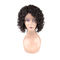 Gesunde kundenspezifische Jungfrau-Haar-Spitze-Perücken/100 Prozent Menschenhaar-Perücken-keine Verwirrung fournisseur
