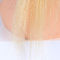 613 blonde brasilianische Menschenhaar-Spitze-Front-Perücken-natürliches gerades natürliches Schauen fournisseur